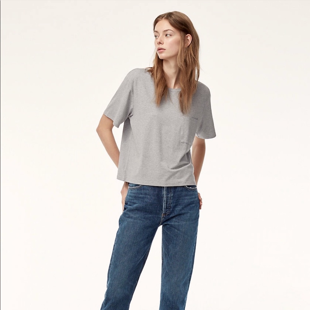 Aritzia gradilla t shirt / crop top.
